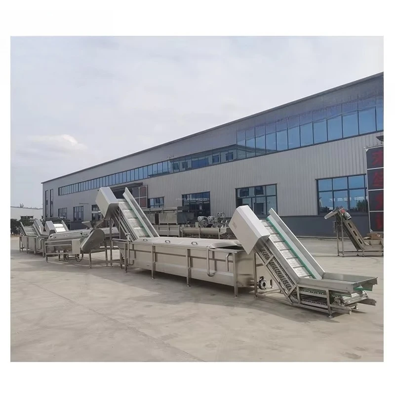 Continuous Chicken Feet Blanching Machine Stainless Steel Poultry Paw Pre-cooking Washing Production Line With Lifting Conveyors