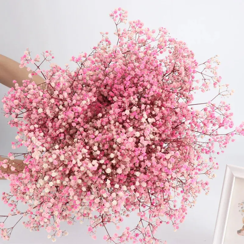 80g Mix Gypsophila Baby Breath Dried Flower Bouquet Boho Wedding Photo Prop Decoration Preserved Gypsophile Home Room Vase Decor - Image 12
