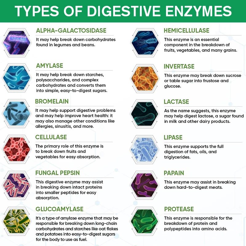 Digestive Enzyme Capsules - Support Gut Health, Improve Digestion, Relieves Gas and Bloating, Immune Support