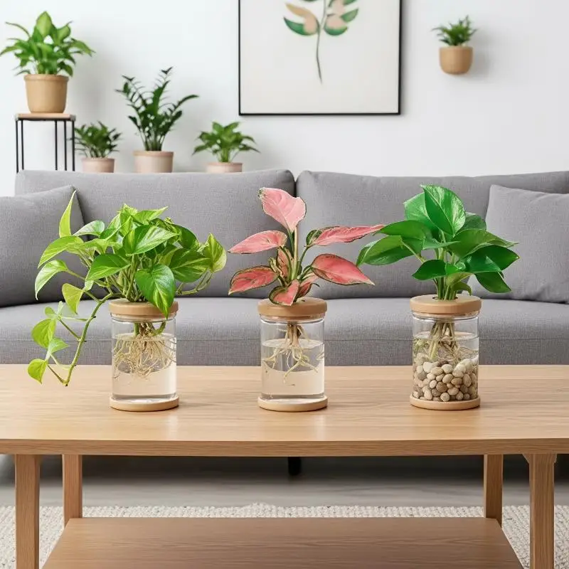Nordic Plastic Hydroponic Vase Automatic Water Absorption Plant Pot Plastic Propagation Pot Desktop Flower Pot