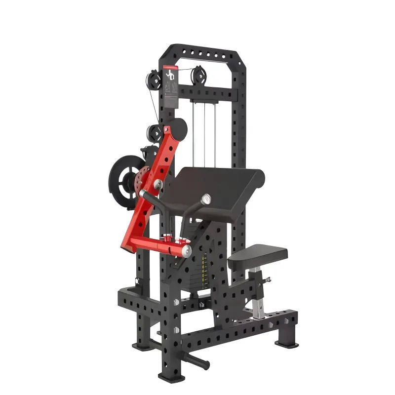 

Biceps Curl Triceps Extension Commercial Use Pin Loaded Seated Biceps Curl Machine Sitting Preacher Curl Equipment