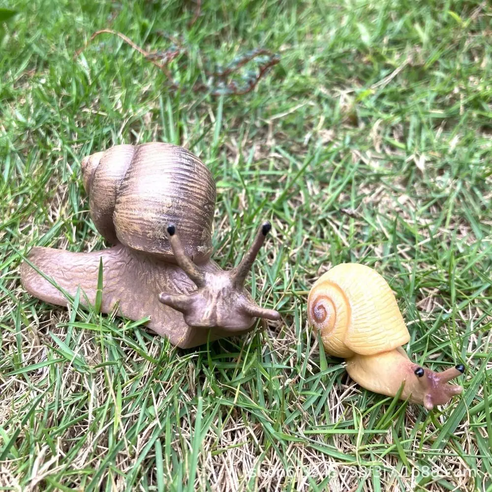 High Quality Delicate Puzzle Science Education Micro Landscape Snail Model Simulation Insect Snail Statue Garden Decoration