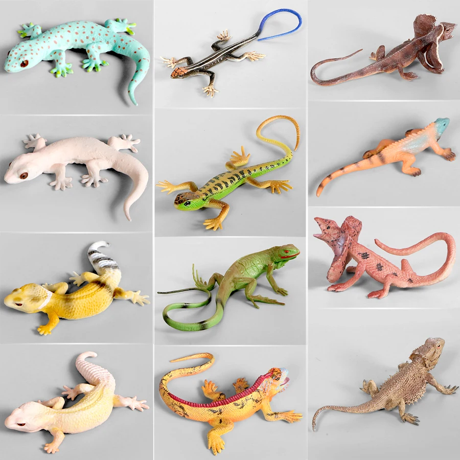 

Realistic Wild Animal Models Amphibious Animals Lizard Chameleon Komodo Dragon Hand Painted Figurine For Kid Educational Toys