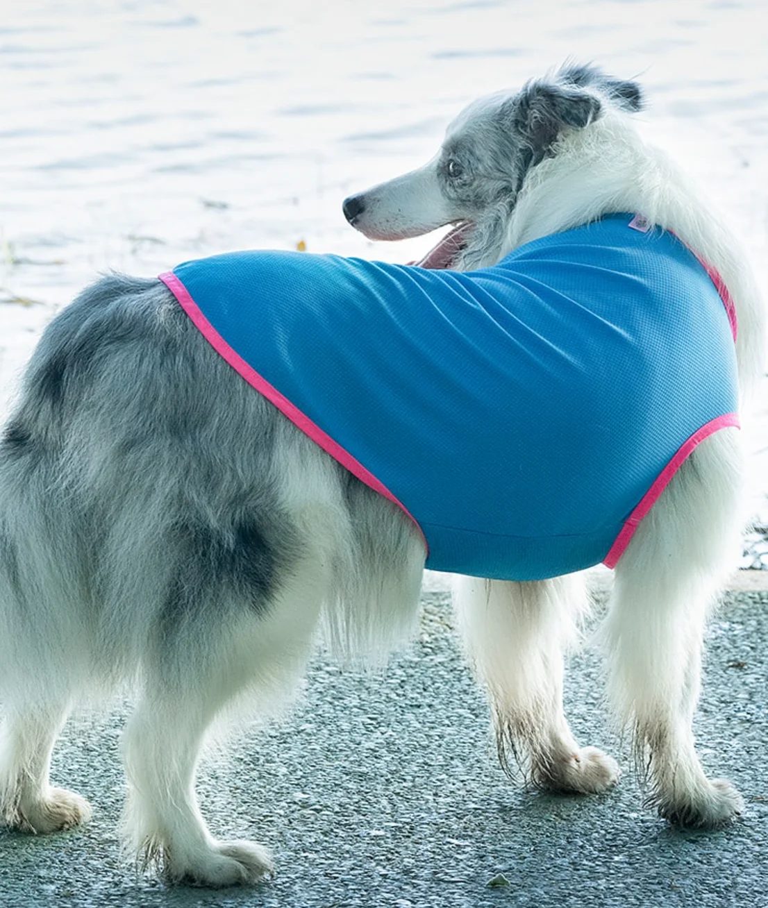 Large Dog Vest Skirt for Summer, Poodle, Corgi, Samoyed, Husky, Labrador, Golden Retriever, Border Collie, Big Dog Clothing