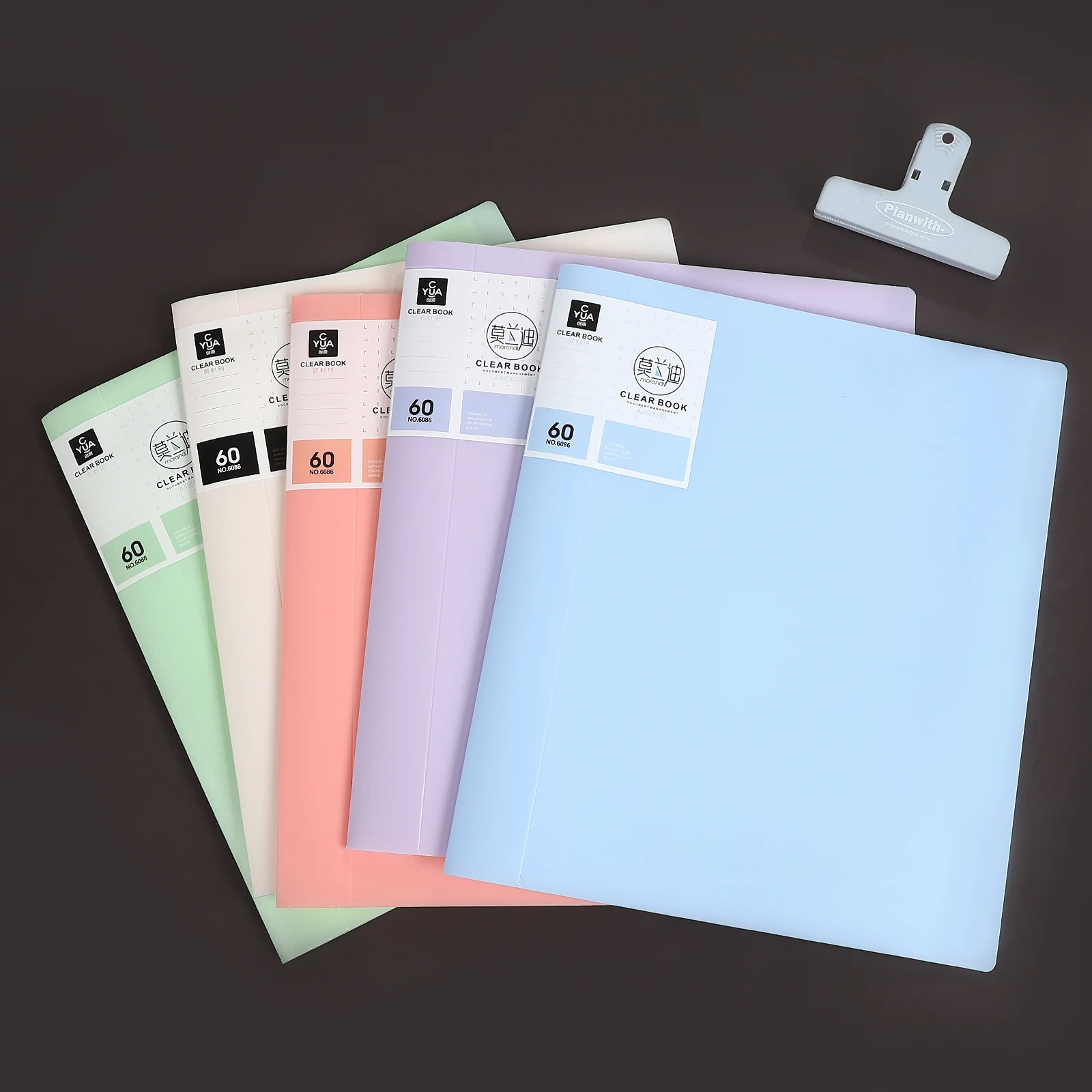 Morandi Color A4 Transparent Inner Page Information Storage Book Creative DIY Journal Student Supplies Stationery