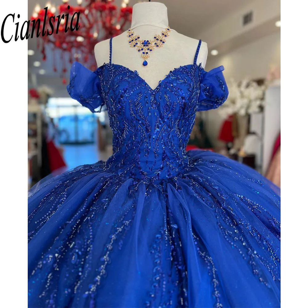 Quinceanera Dress Ball Gown Dark Royal Blue Tulle Long Sleeve Luxury Quinceanera Gown  Applique Girl's Sweet 16 Dress