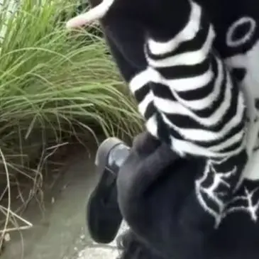 

Kimutomo Vintage Knitted Sweater Pullover Women Cartoon Funny Sweet Loose Striped Patchwork Y2k Harajuku Pullover Female Jumper