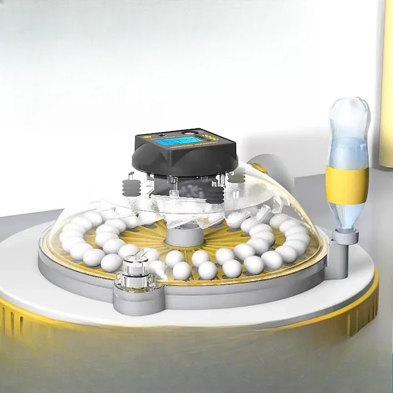 For Chicken Duck Quail Eggs Transparent Lid Egg Incubator Automatic Compact Size Intelligent Control Durable Build High Speed