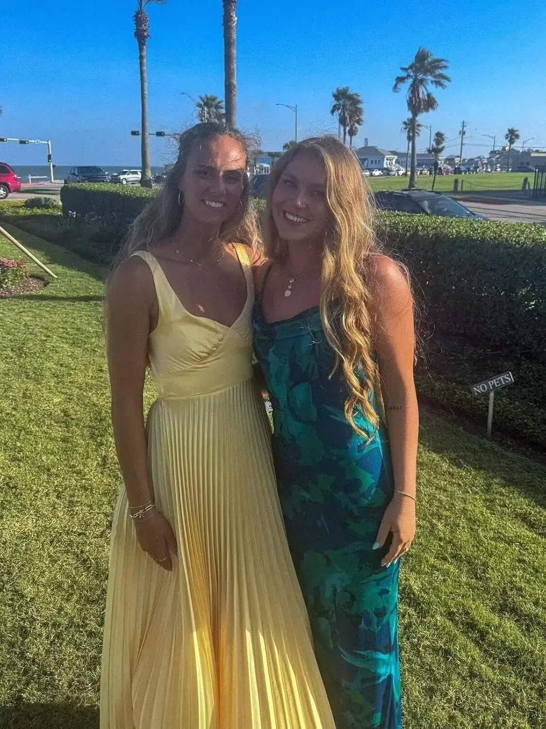 Vestidos formales largos con cuello en V, vestidos de fiesta para mujer, vestido de noche de lujo, vestidos plisados de dama de honor para mujer de satén