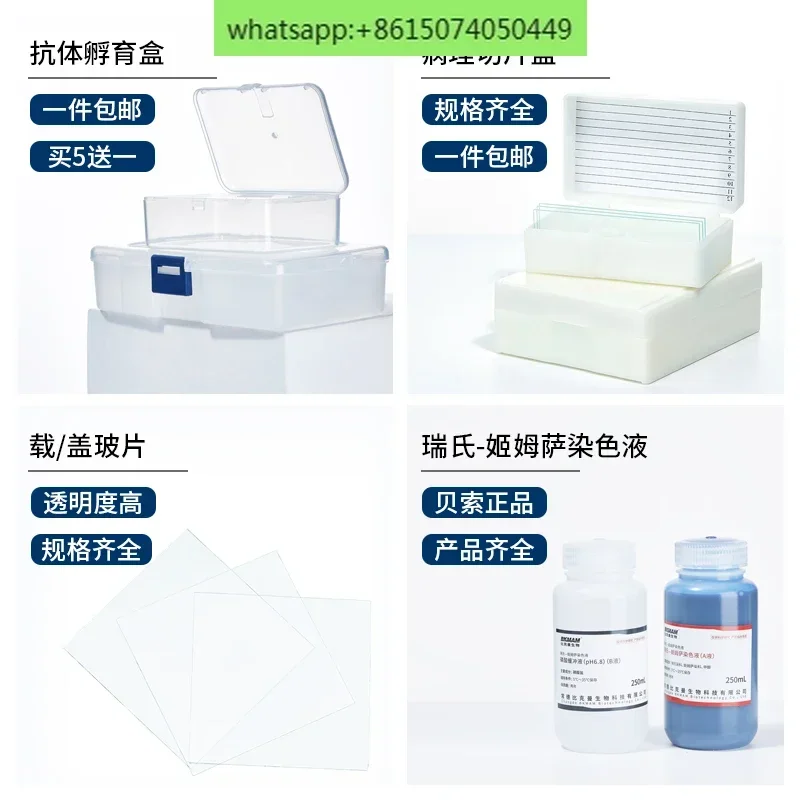 Labshark Immunohistochemistry صندوق مبلل مضاد للجسم صندوق منزلق 10 قطع 20 قطعة شفاف أسود داكن