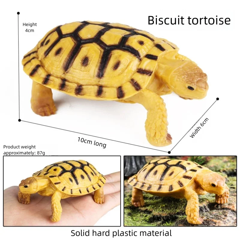 Oenux Simulations-Schildkröten-Set: Alligator, Galapagos-Schildkröte, Chinesische Weichschildkröte Figuren und Puppen – Detail 4