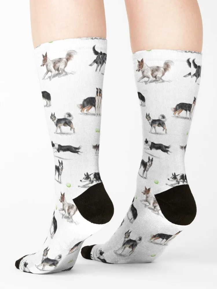 Border Collies Socks Stockings Lots sheer sport Girl'S Socks Men's