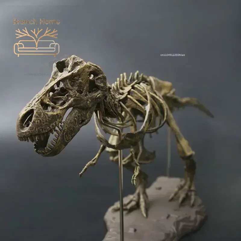 DIY Large T Rex Tyrannosaurus Rex Skeleton Dinosaur  Animal Model Collector Super Decor Tyrannosaurus Rex Skeleton Ornaments
