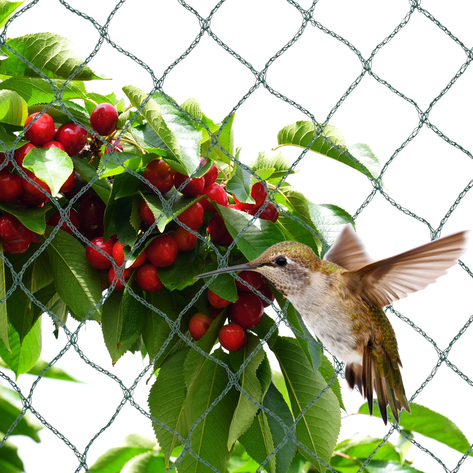 

PE Woven Anti Bird Netting Fruit Protection Net Orchard Ponds Garden Supplies Poultry Best Fencing 4.5x6m 6x12m