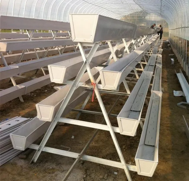 

Customized greenhouseCommercial Use Customized Big Size Intelligent Hydroponic Greenhouse Agricultural Vegetable Flowers Fruits