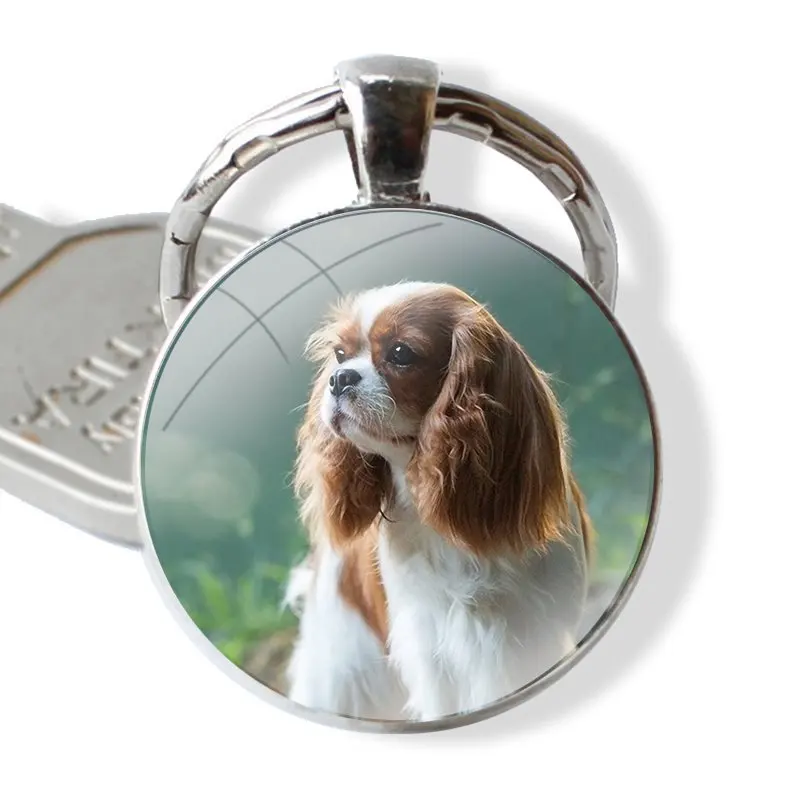 Cavalier King Charles Spaniel Glass Metal Pendant Key Chain Classic Men Women Key Ring Accessories Jewelry Gifts