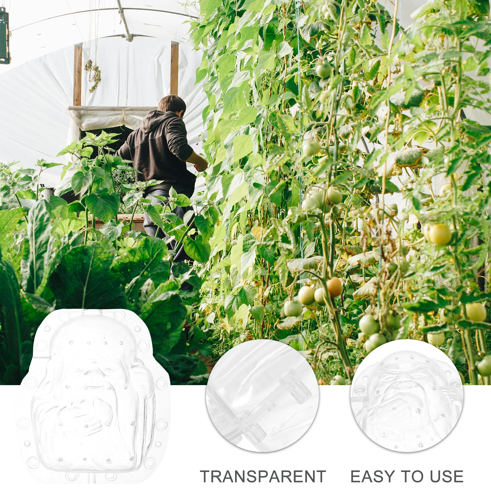 

Fruit Mold Transparent Shaping Growing Molds Plastic Forming Small Garden Yard Vegetable Fruit Planting Helper Gardener Gift