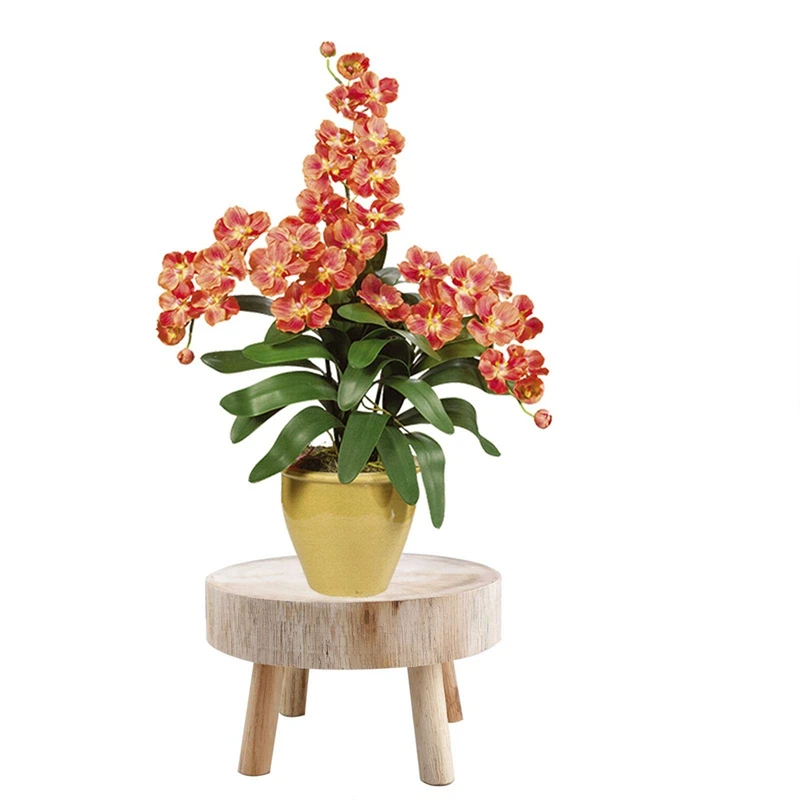 Mini sgabello in legno espositore per piante sgabello decorativo per piante in legno supporto per bonsai per giardino domestico interno ed esterno