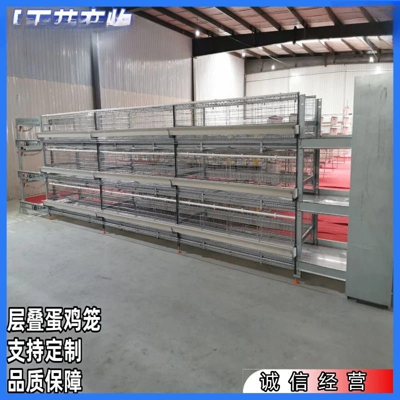 Small stacked laying hens cage, durable, rust-resistant and preservative, providing a comfortable space for chickens