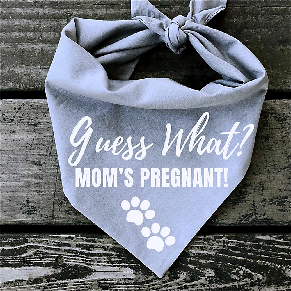 Personalize Text Guess What? Mom's Pregnant! Dog Bandana Grey Baby Pregnancy Announcement to Dad Grandparents Family