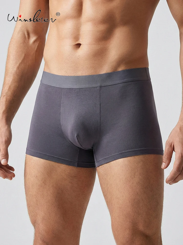 Winsleter-2PCS 90%Silk 10%Spandex Men Briefs, Mid Waist Traceless Solid, Basic Breathable Boxer Shorts, 2026 Summer New P63447CC