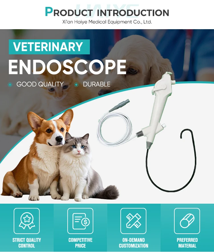 Flexible Veterinary Cystoscope and Ureteroscope, rand device for animal bladder and urethra cavity examination