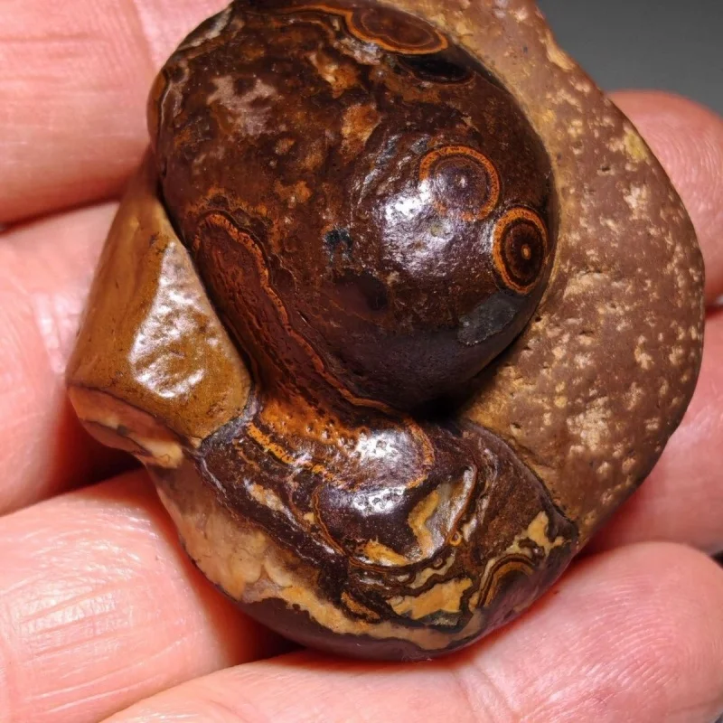 Naturally Form Rare Mineral Specimens That Are Unique Collections Of Rocks