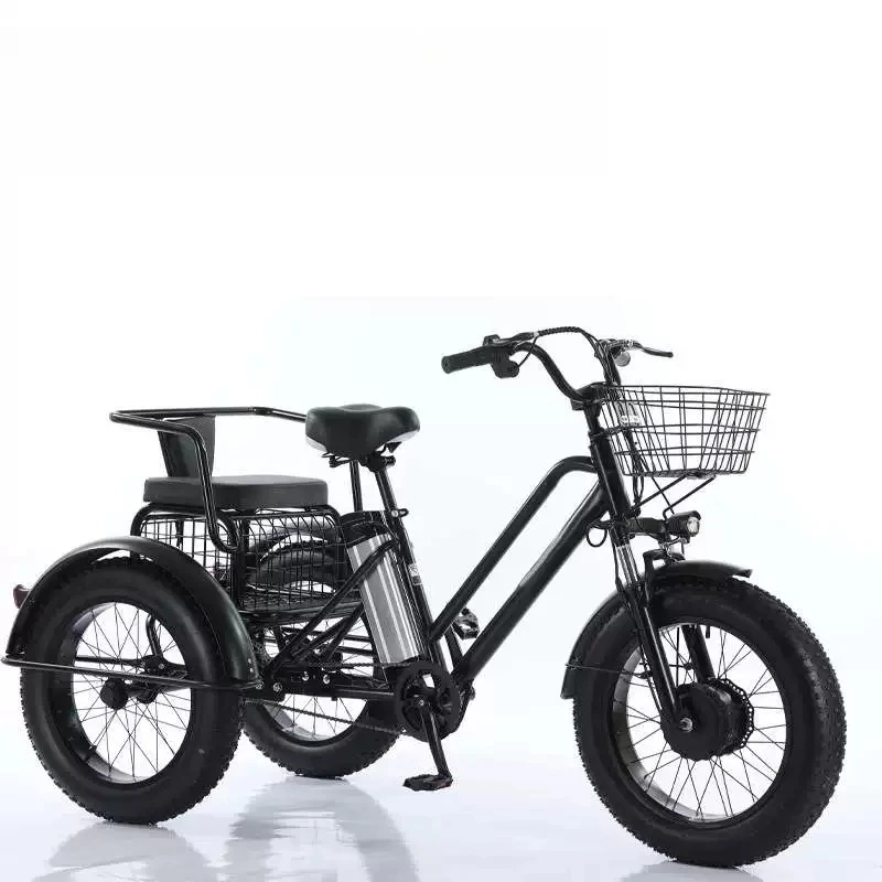 20 Inch Fat Tire Electric Tricycle 500W 48V Lithium Battery Pedal Assist E-Trike for Snow Beach Mountain Adults