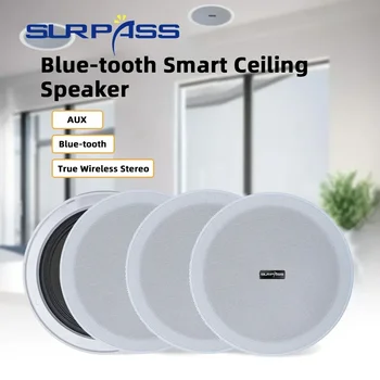 6 Inch Sound box SURPASS Audio Stereo Full Range Dustproof Mobile Iphone Connectable Bluetooth speakers for Bathroom Hotel Store