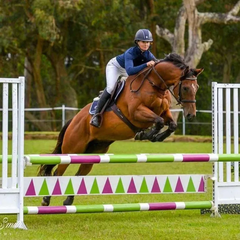 

Luxury Horse Jumping Plastic Horse Jumps for Show Jumping Horse Saddle