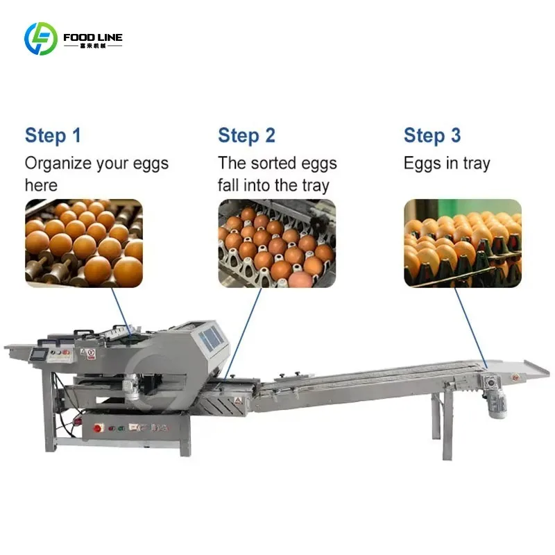 Customized Automatic Egg Packaging Machine Egg Tray Loader Duck Egg Farm Packing Machinery