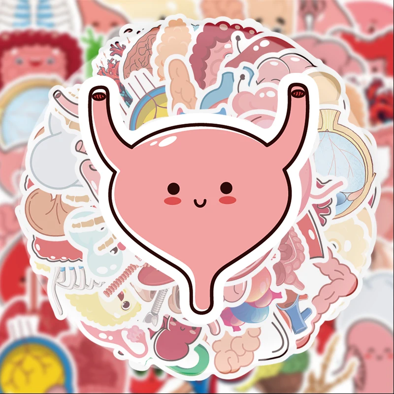 50 Cute Human Organ Anatomy Stickers, Suitable for Water Bottles, Laptops, Phone Decorations, Suitcases, Skateboards, Guitars, Gift Boxes, Party Decorations, Holiday Gifts