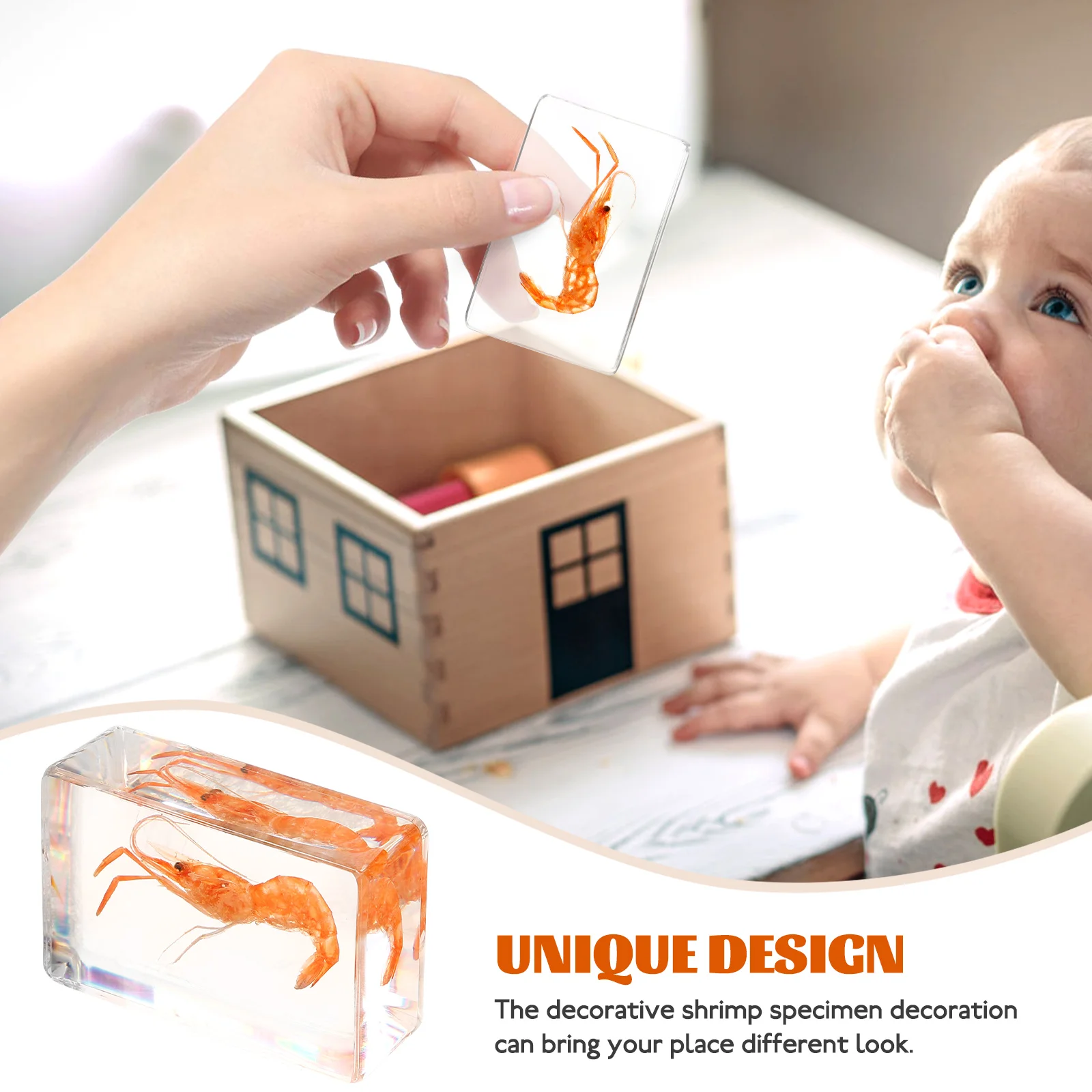 Insect Specimen Decorative Shrimp Collection Resin Crafts Decoration Artificial