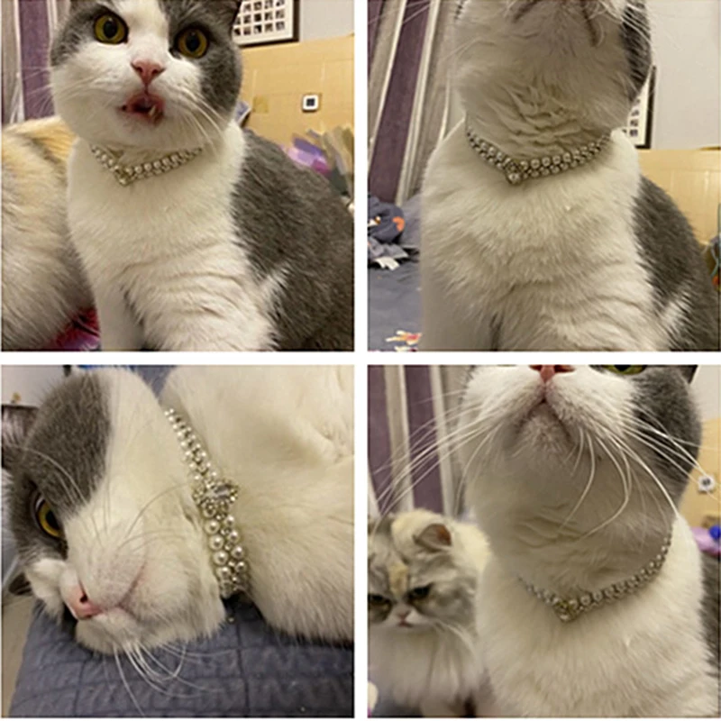 Luxuriöse Katzen- und Welpen-Perlenkette Strass-Halsband für Katzen Kleine Hunde Ragdoll-Katzen Sphynx-Halsketten Haustier-Accessoires Collier Chat – Detail 2