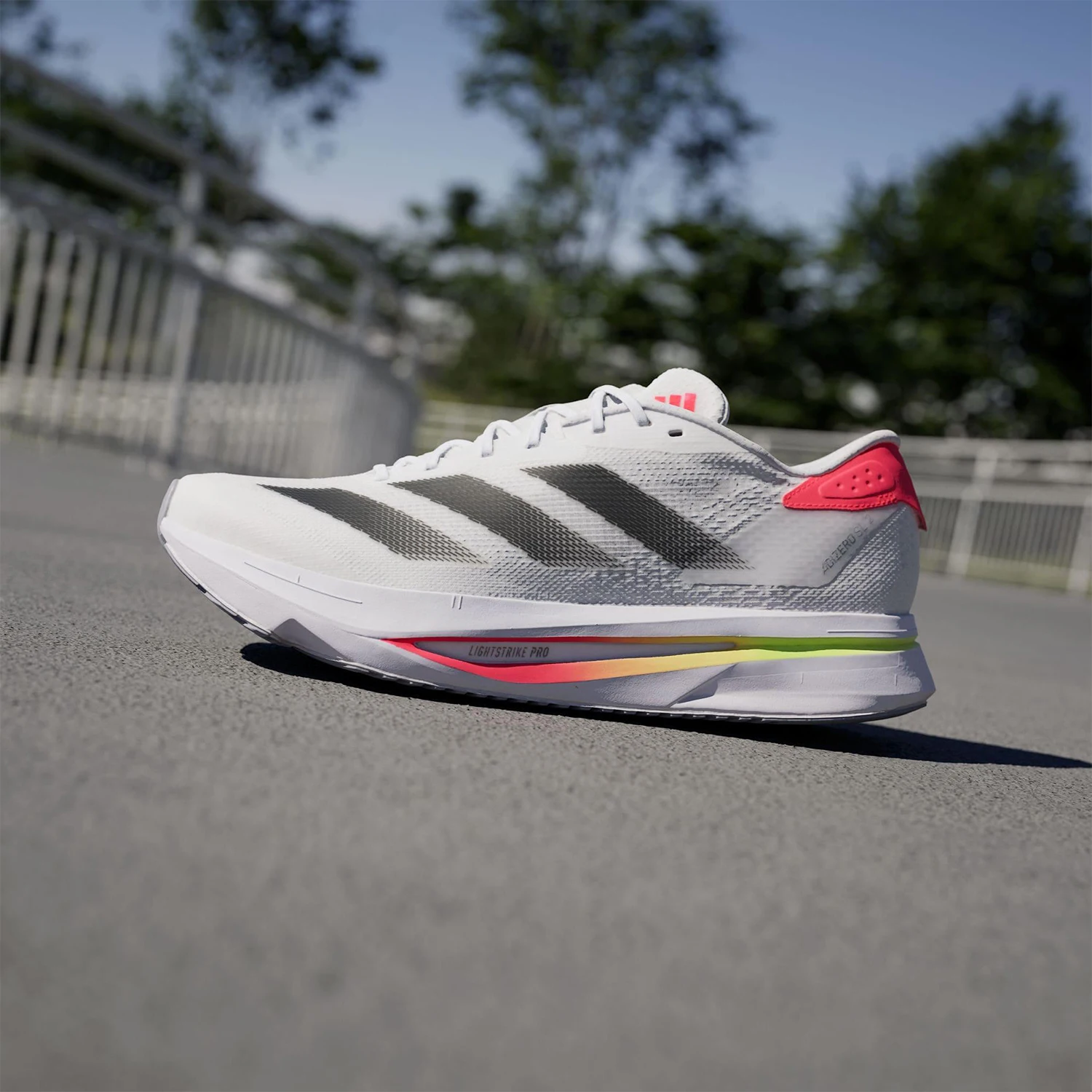 حذاء أديداس أوثنتيك 25 سبرينج - مراجعة Men Shoes Running Adidas وسعره
