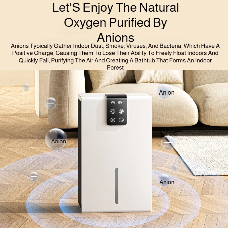 Thumbnail 3 - #43 Moisture Absorbers List of Top Picks