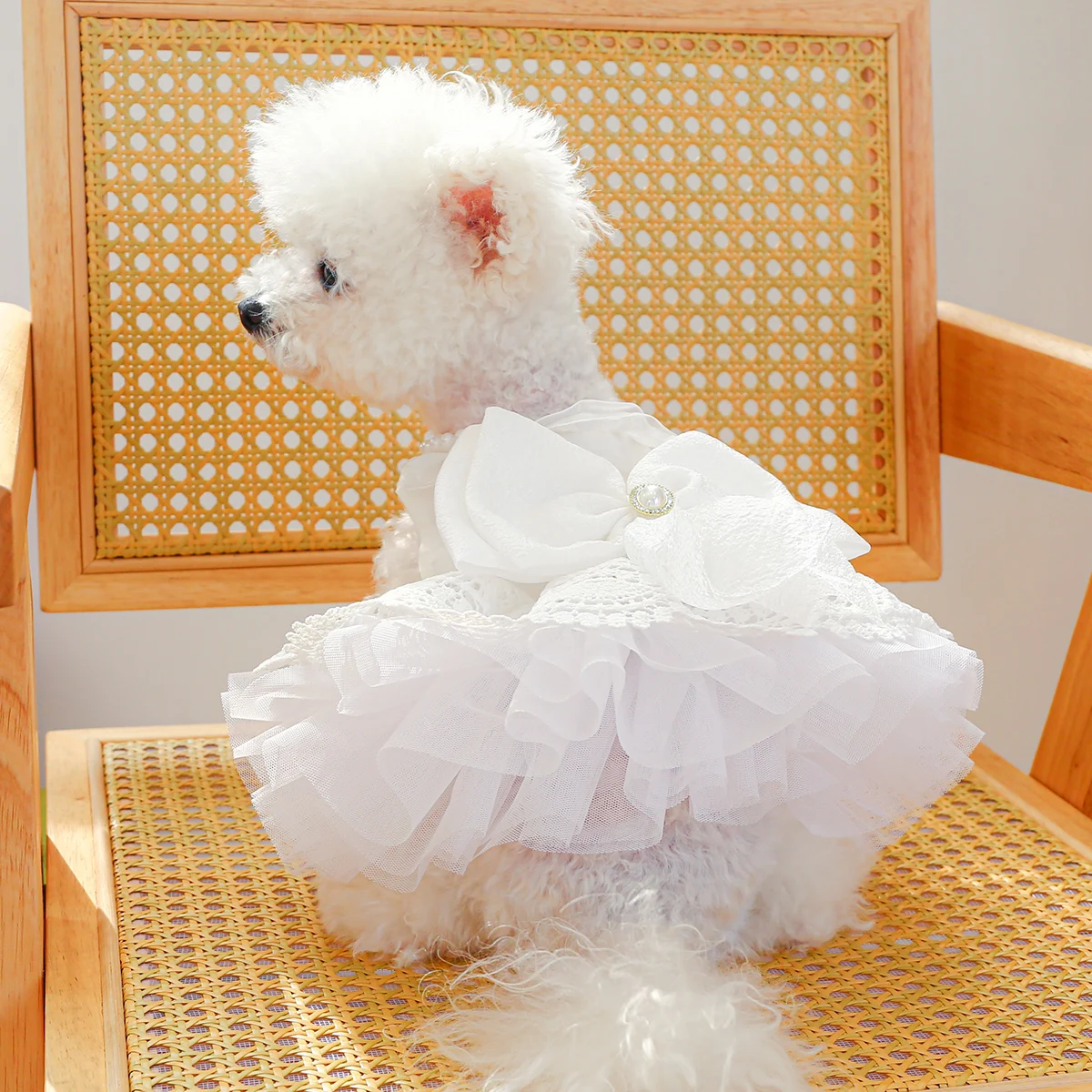 1PC Pet Clothing Dog Queen Wedding Dress Bow Cat Spring/Summer Princess Dress Suitable for Small and Medium sized Dogs