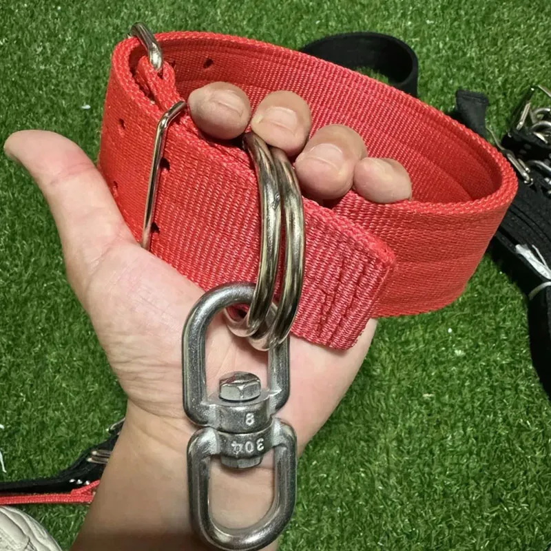 Dog Collar Double Row Thicken Adjustable Durable Bulldog Training Collars Stainless Steel 8-shaped Swivel Ring Sturdy Anti Wrap