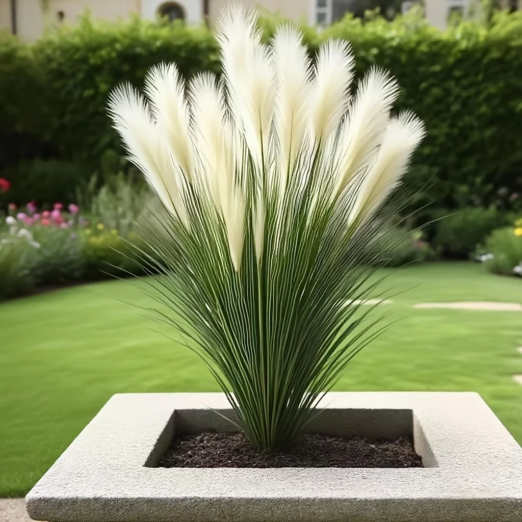 

2 Pcs Artificial Tall Grass with 6 Reed Foxtail - Lifelike Plastic Bouquet Easy Care Decor for Home Wedding