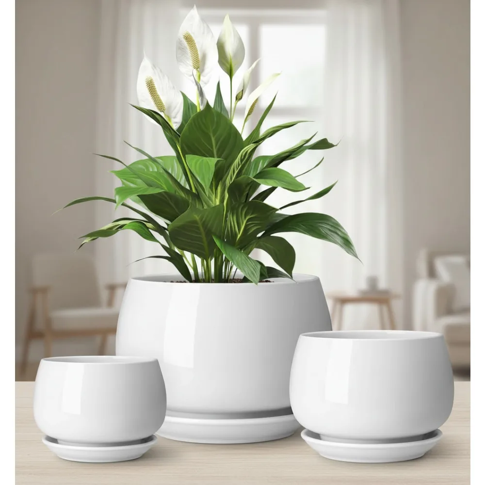 

Набор из 3 керамических горшков для растений с блюдцами и дренажем, комнатные горшки 3,7/4,8/6,2 дюйма для суккулентов, трав, цветов, белые