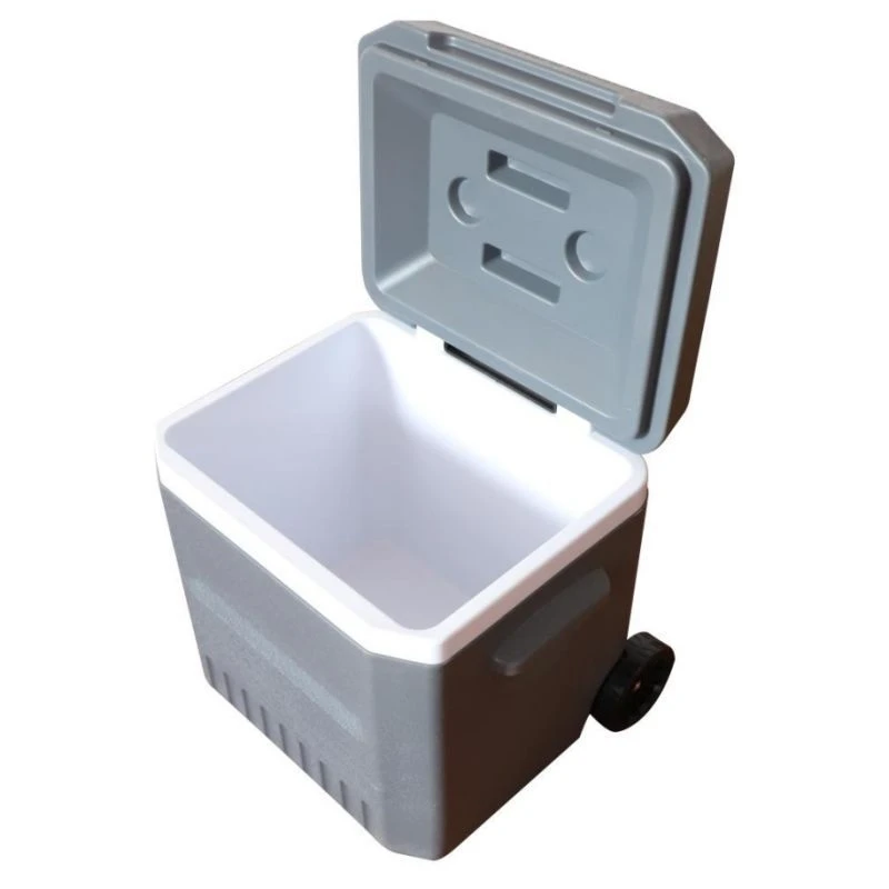 18L Insulated Box With Wheels Car Fresh Box With Trolley Cooler Box Portable Ice Bucket Outdoor Plastic Refrigerator New