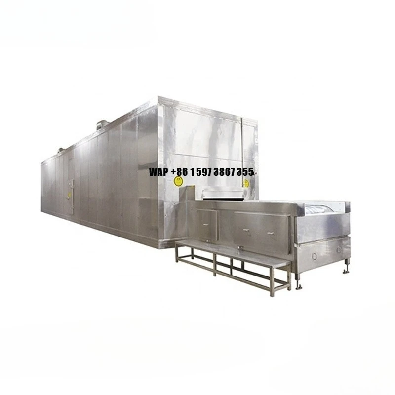 

100kgs Per Hour Capacity Industrial Fruits and Vegetables Quick Freeze Machine Freezer Quick Tunnel Freezer Cooling Machine