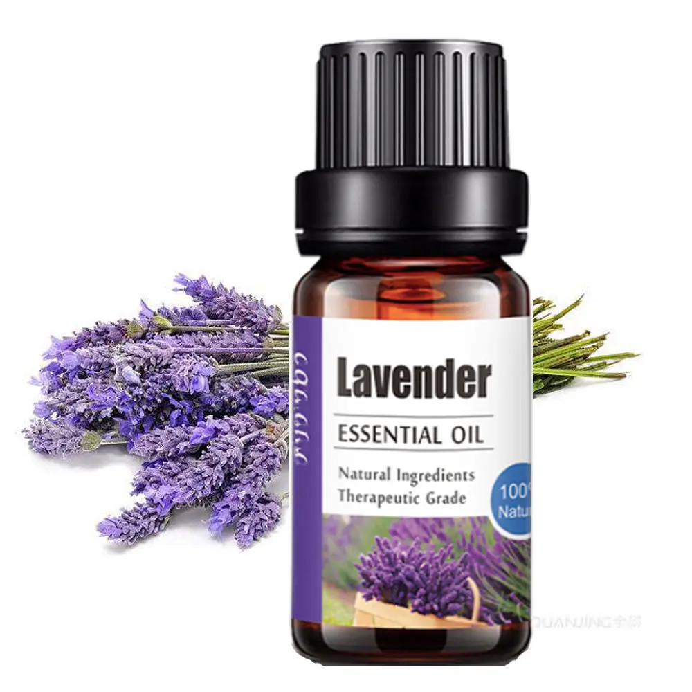 ERBOLO-aceite esencial de plantas puras para difusores de humidificador, menta, lavanda, árbol de té, vainilla, Sándalo, jazmín, aceite natural puro, 10ml