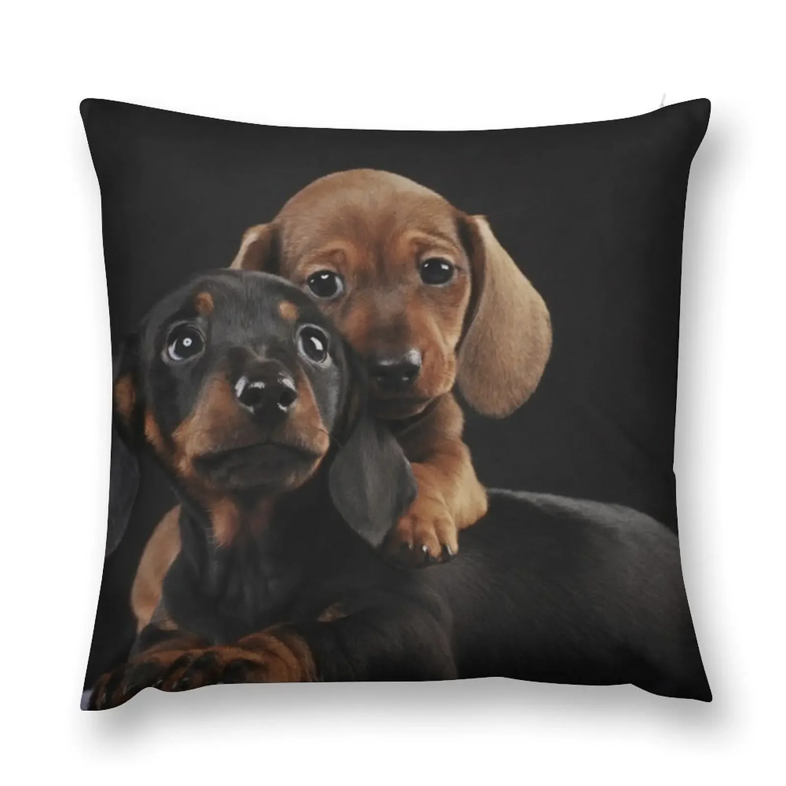 Dachshund Dog portrait photo pupies Throw Pillow Pillowcase luxury decor pillow