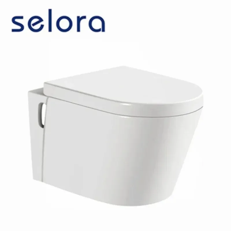 

Bathroom Sanitary Ware Porcelain Concealed Cistern Wall Hung Toilet