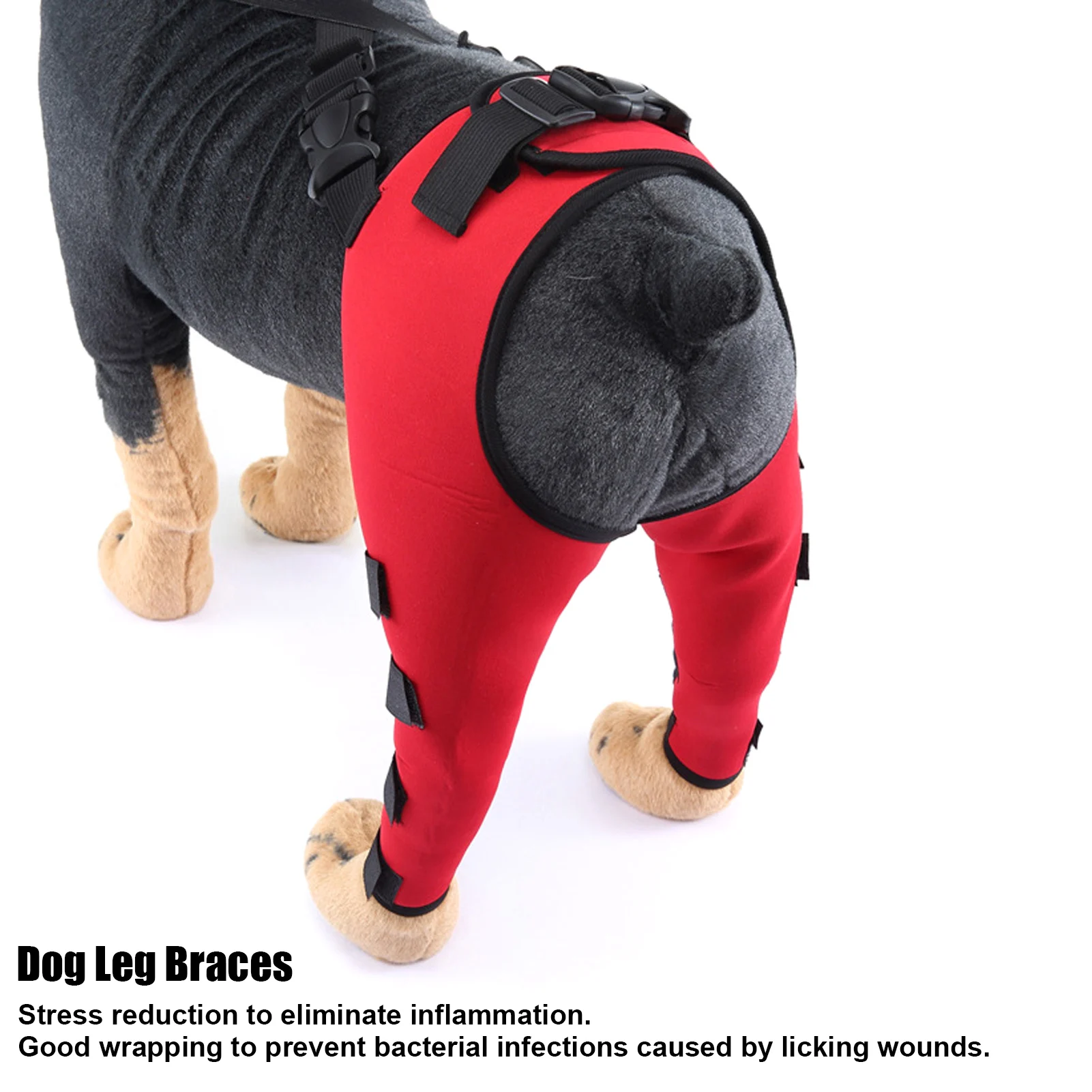 Pet Puppy Knee Pads Dog Back Leg Braces for Injured Dogs Support Brace Injury Joint Wrap Recover Protector Dog Accessories