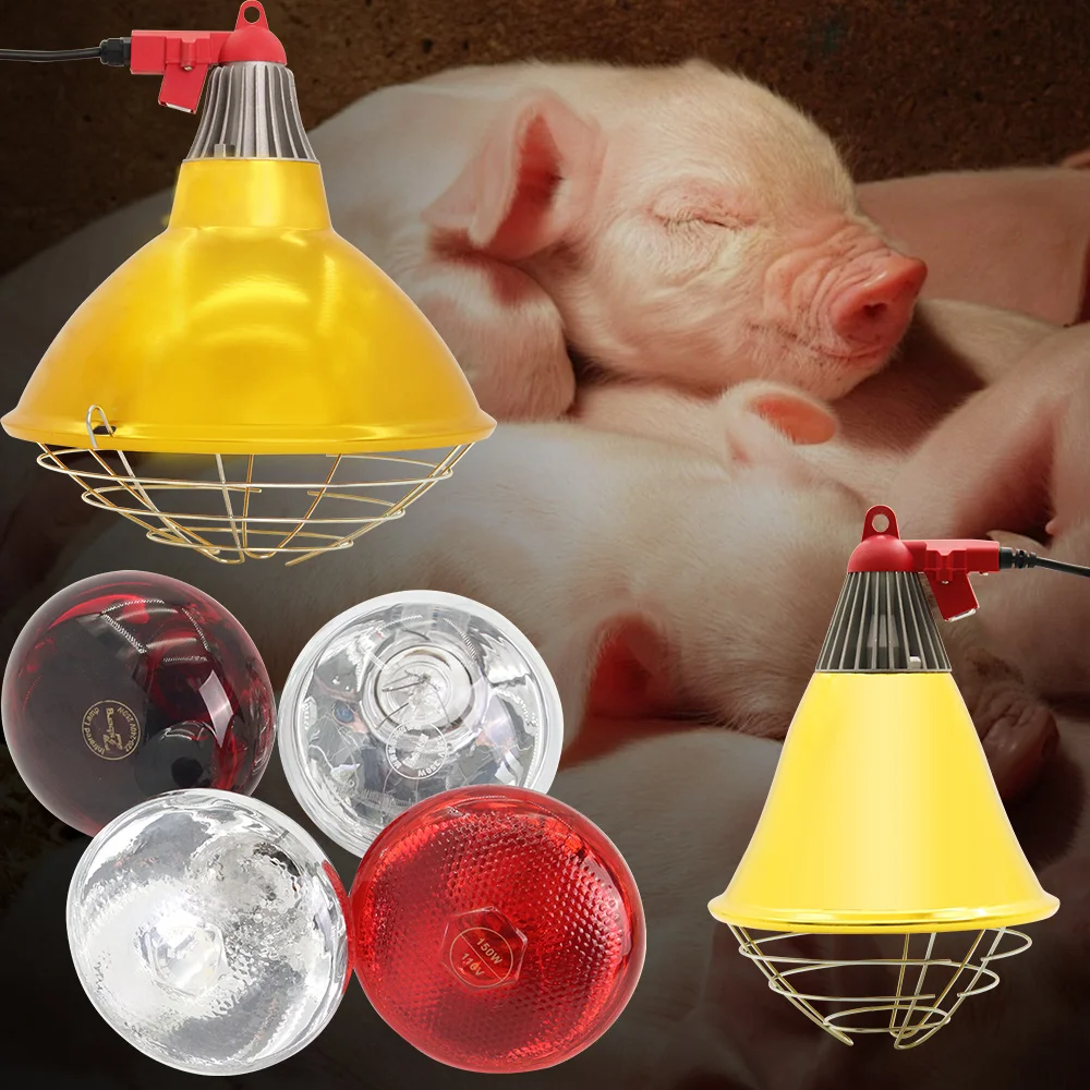 Scaldasalviette per maiali e bestiame, paralume per lampada riscaldante, temperatura regolabile, per coltivazione di pollame, oca, maiale, lampada per la conservazione del calore