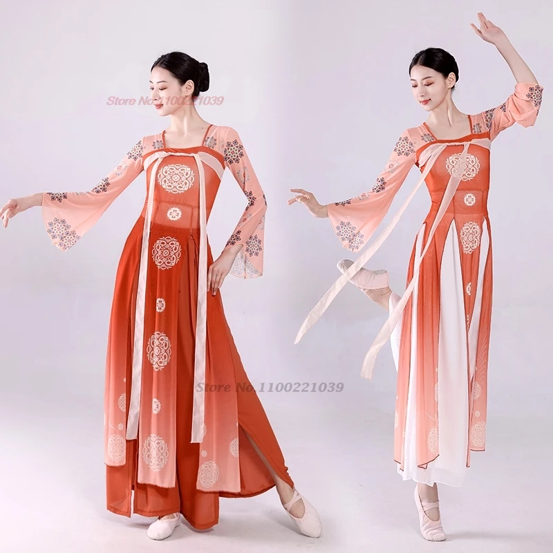 

2024 traditional chinese vintage dance national flower print mesh hanfu tops+pants set stage performance set ancient folk dance