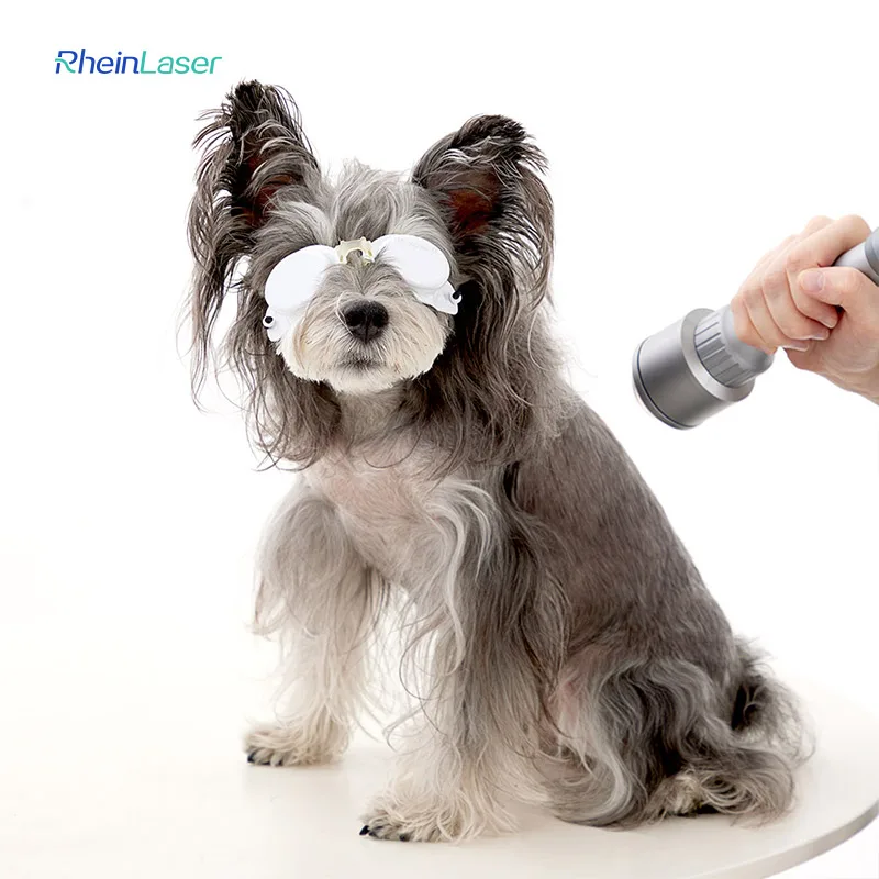 

Veterinary 980nm Class IV Laser Therapy Machine Animals Rehabilitation Use For Pets Wound Care