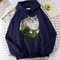 Sudaderas con capucha con estampado de gato tonto y sandía para mujer, sudaderas informales de los años 90, ropa de calle gótica con capucha Y2k